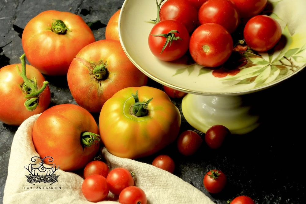 Plant enough Heirloom and Hybrid tomatoes to eat right away (everyday of the harvest season) and enough to preserve for the entire year.
