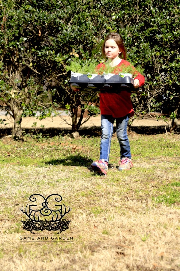 Family Planting Day! The little ones get so much confidence from planting food for the family!