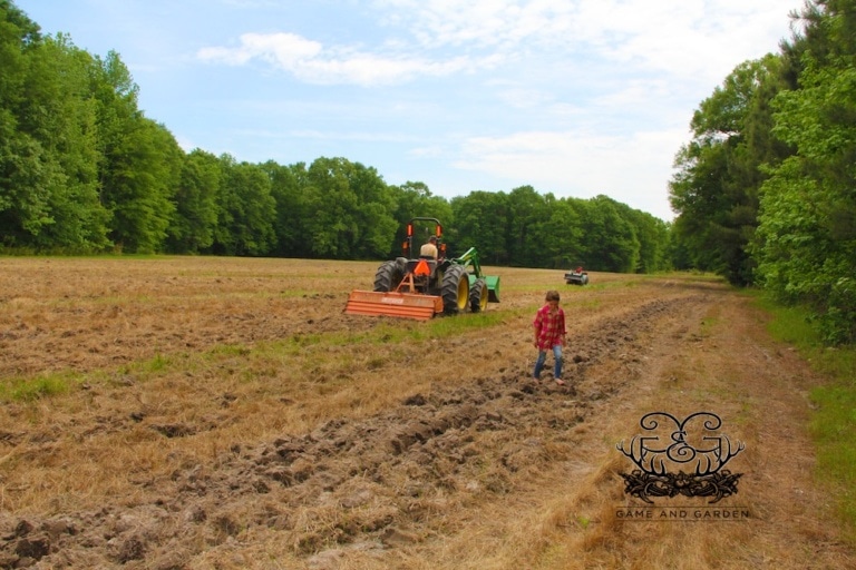 Creating a Wildlife Sanctuary