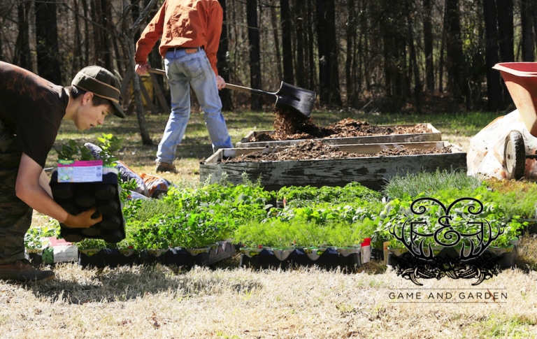 Herbs grow great in raised beds. They are really very easy to make.