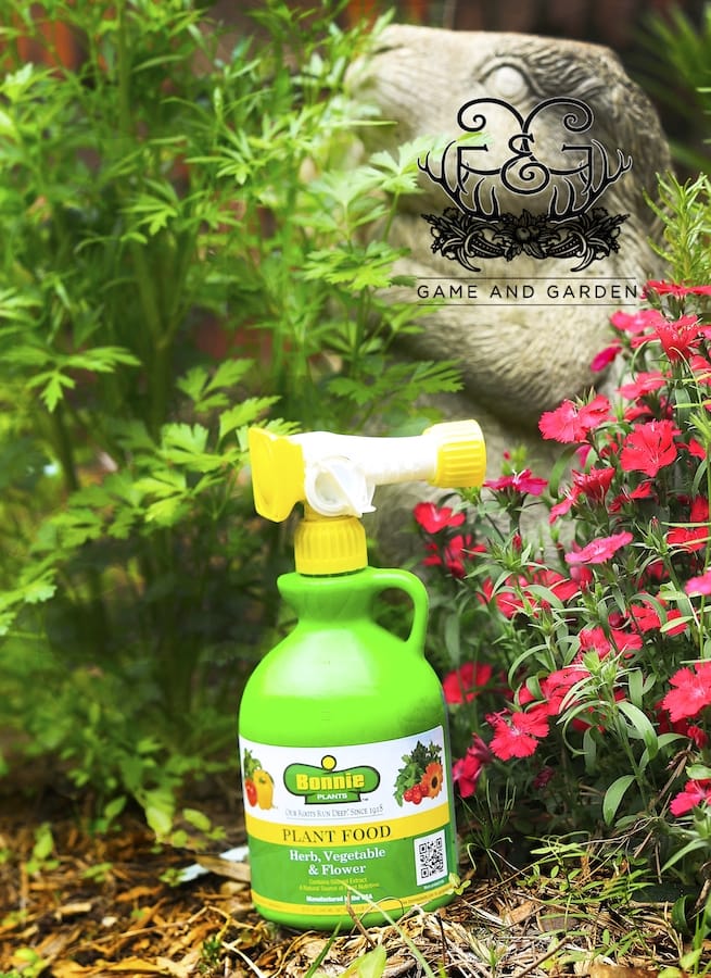 Bonnie Plant fertilizer keeps my plants growing all summer!