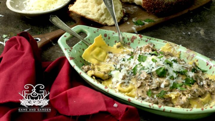 Homemade Sausage Ravioli with Creamy Mushroom Sauce
