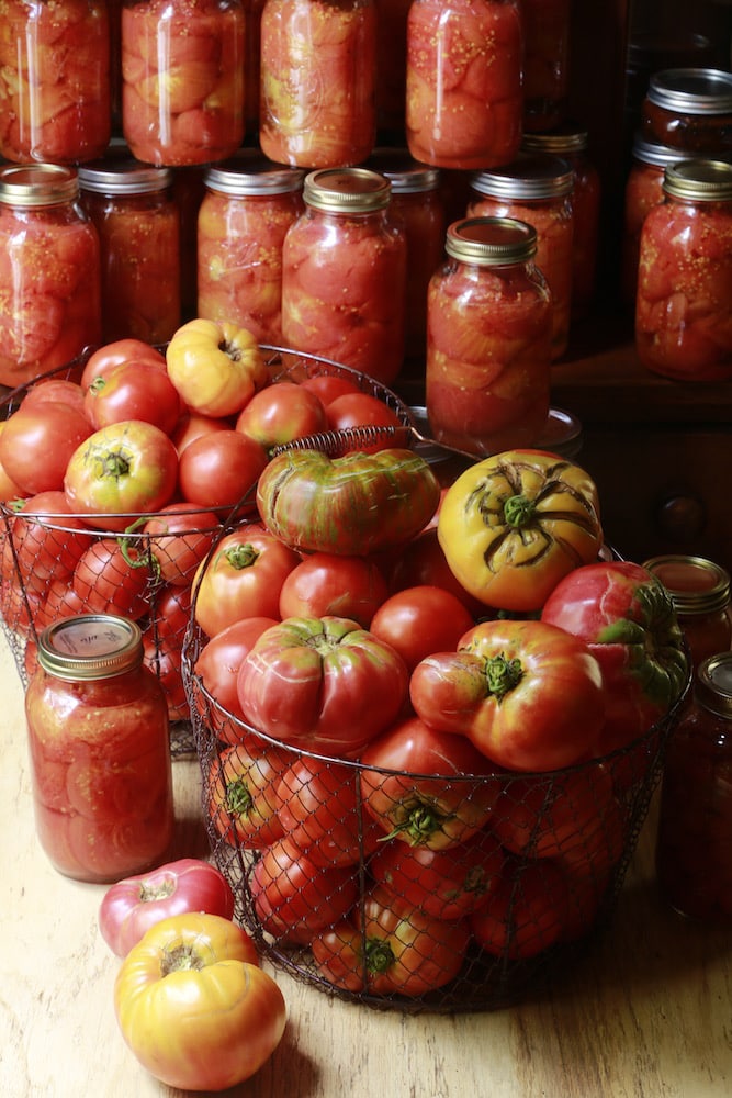 Tomatoes are one of the pleasures of summer!