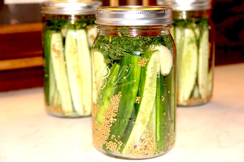 Refrigerator Dill Pickles stay crunchy, are easy to make, and did I say..DELICIOUS!!