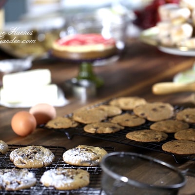 Crisp Thin Chocolate Chip Cookies