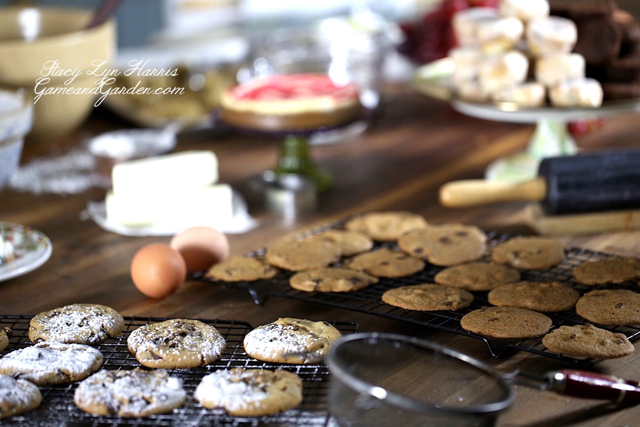 Crispy Thin Chocolate Chip Cookies