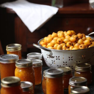 Loquat Jelly Fruit