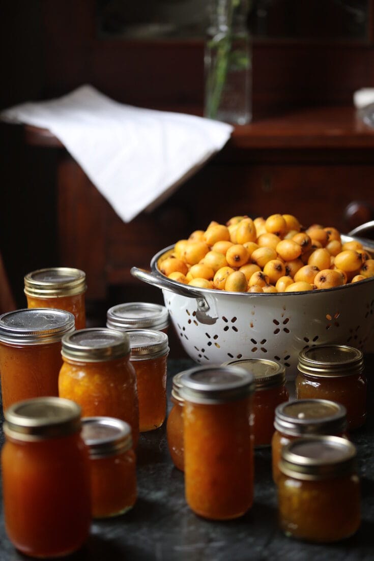 Loquat Jelly Fruit