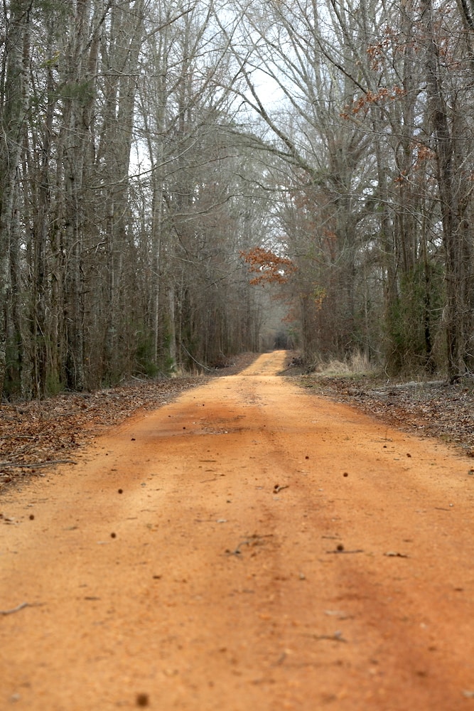 If these roads could talk...