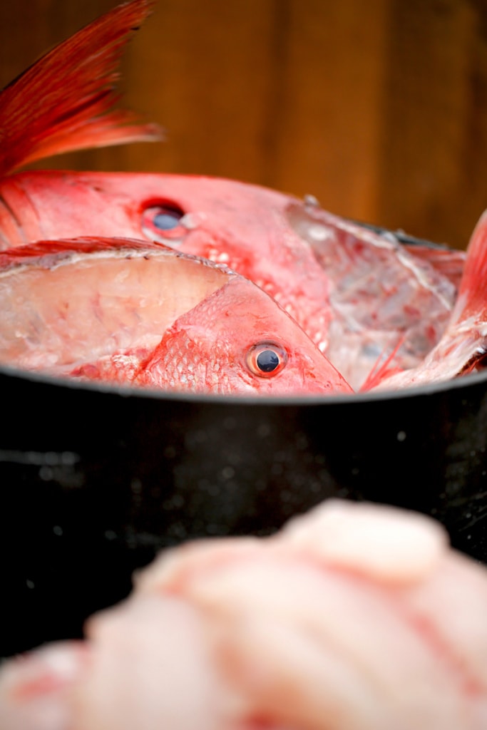 I love that our family looks forward to our yearly fishing trip! Traditions are always something to look forward to!