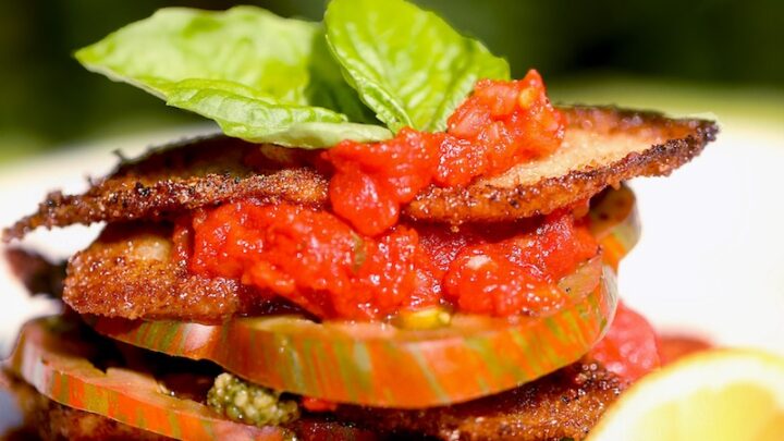 Fried Squash with Tomato, Tomato Sauce and Basil Pesto - Truly an Amazing Dish. You really won't believe how great this recipe is. You can freeze the sauce and pesto, pull it out and fry fresh squash and add tomatoes! Unbelievable.