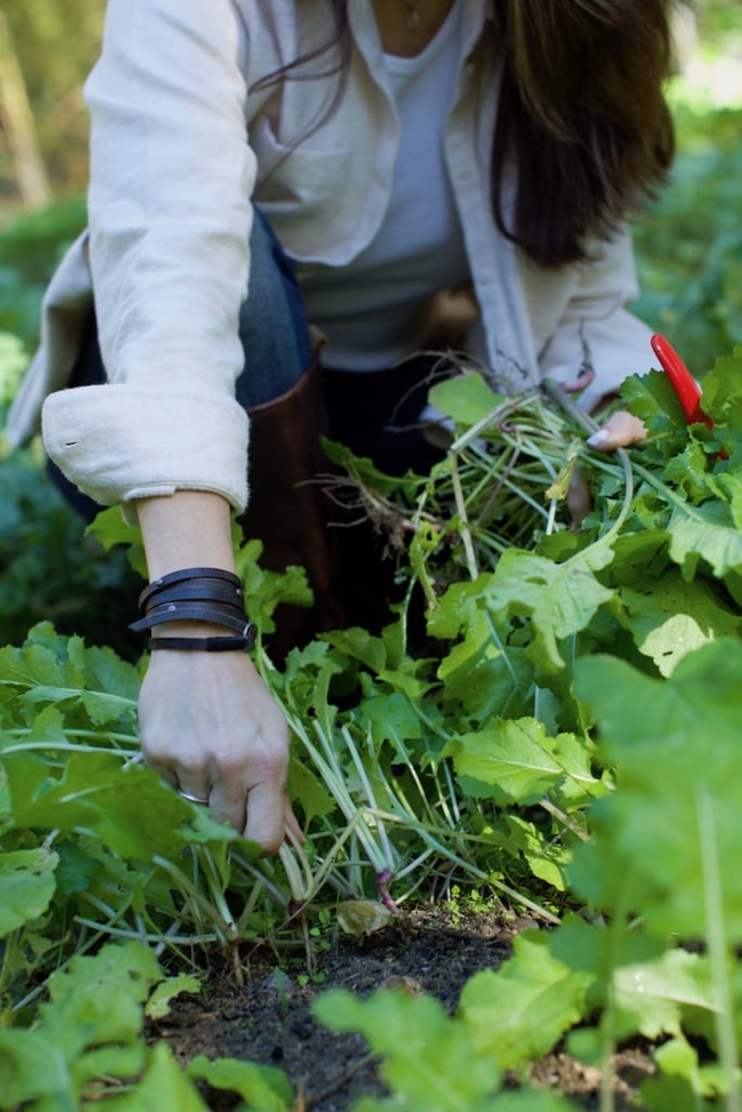 Stacy Lyn thinning greens in garden