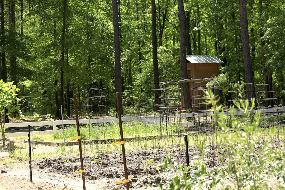 Prepairing garden for planting