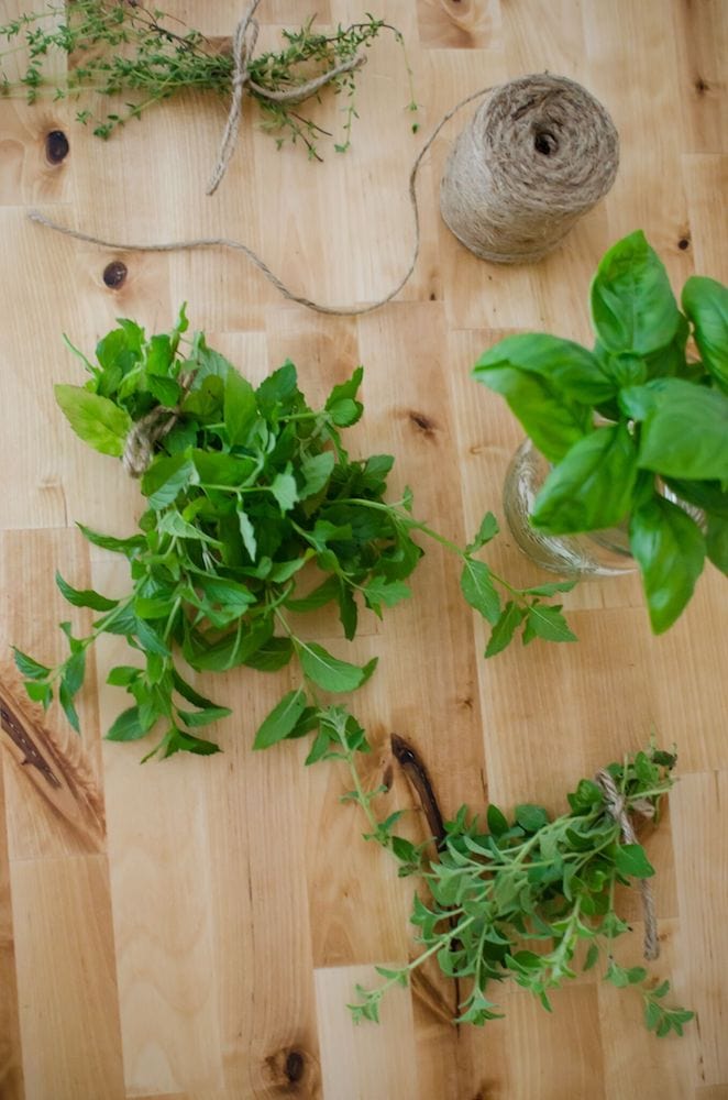 Preserve Your Harvest with the Homesteaders Herbal Companion.