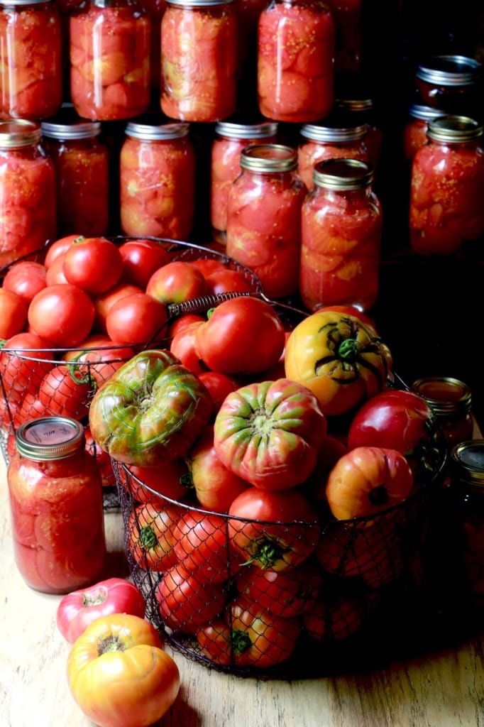 Salsa in jars and tomatoes