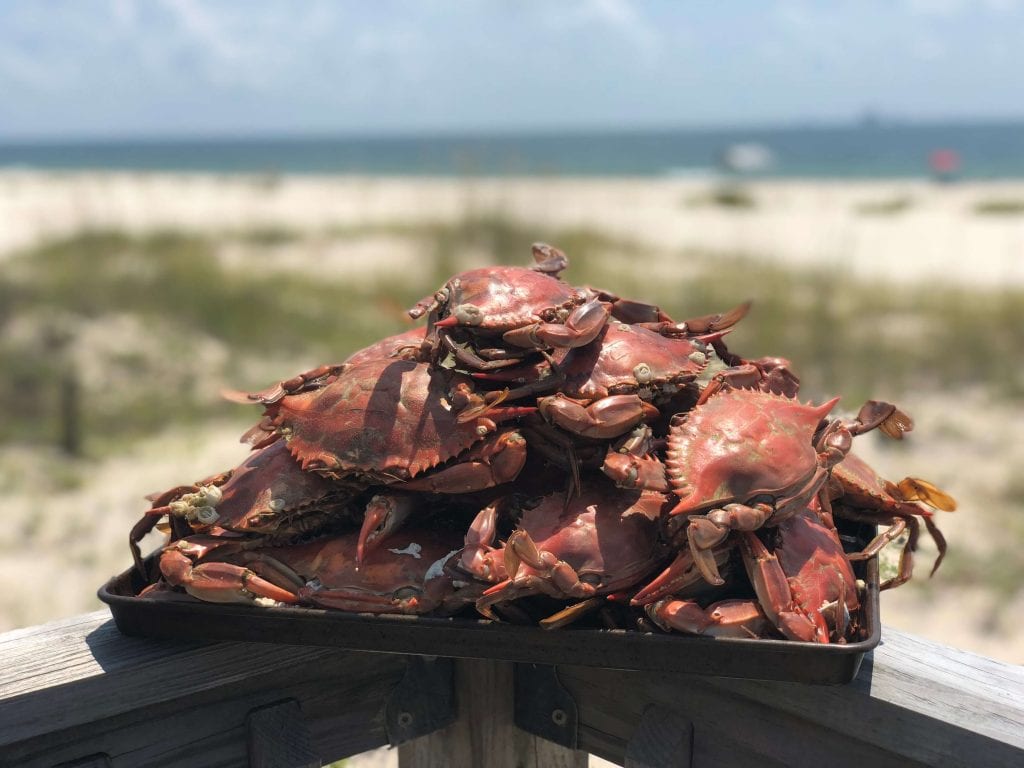 Crabs against a beach background