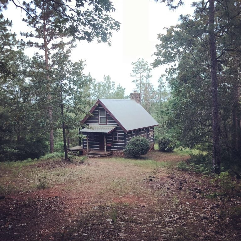 A Family Builds a Log Cabin