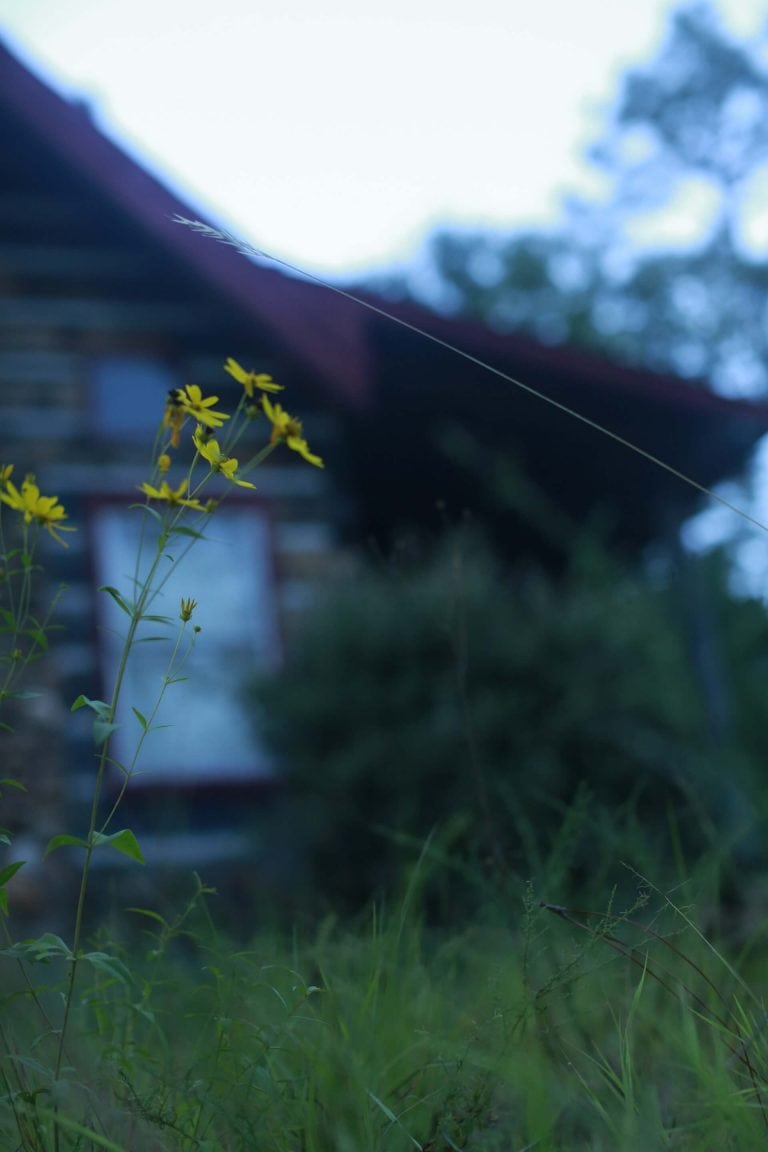 Goodbye to the Old Cabin