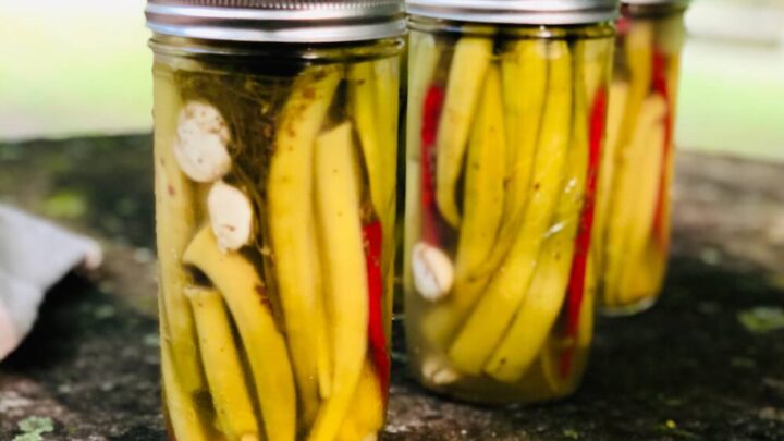 Okra pickling in mason jars, classic pickled okra recipe by stacy lyn harris