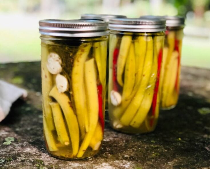 Okra pickling in mason jars, classic pickled okra recipe by stacy lyn harris