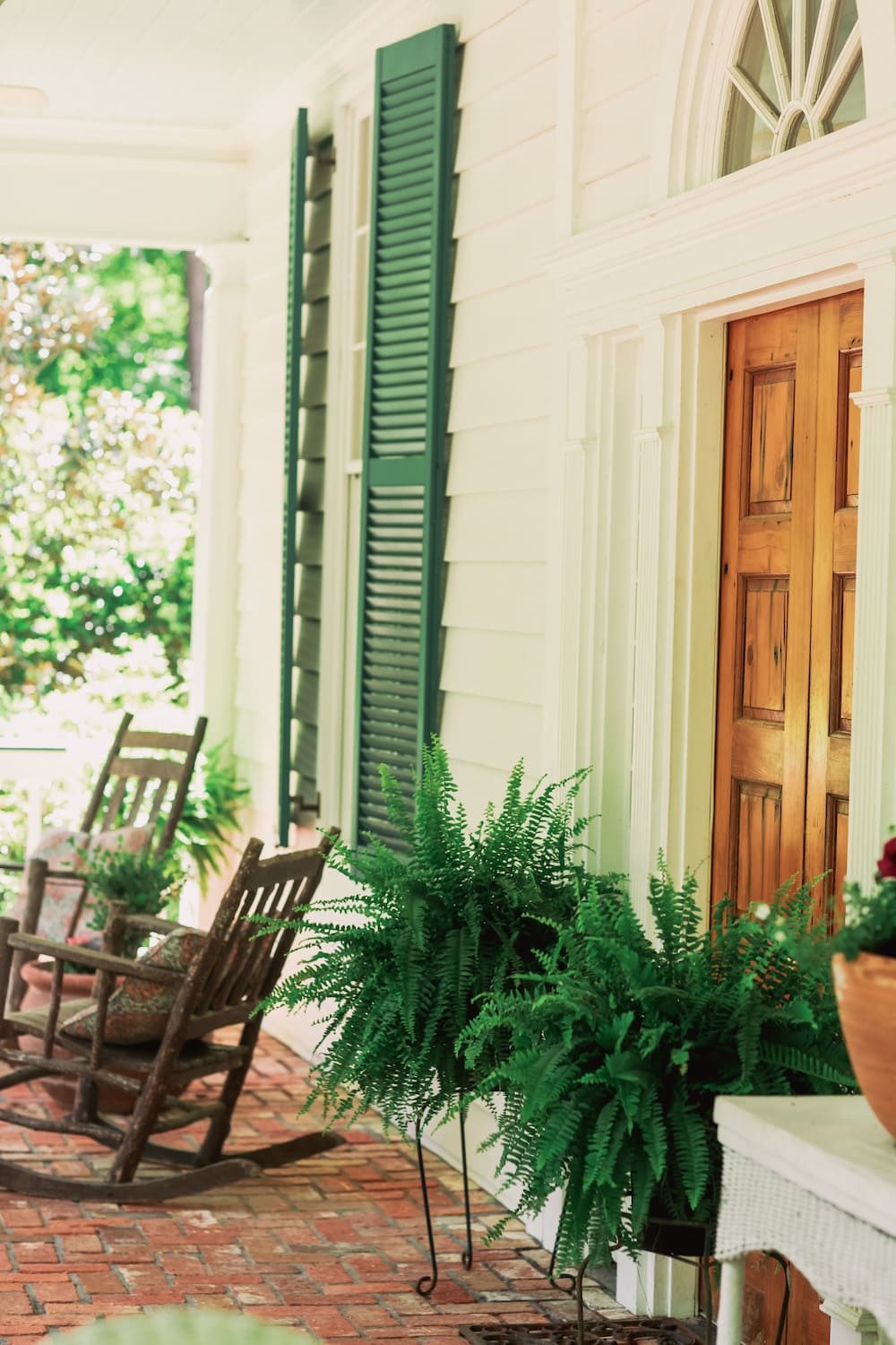Front porch ferns by the door