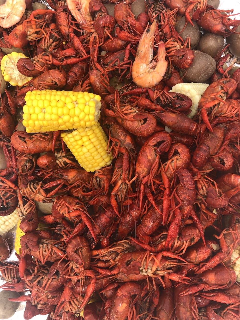 More crawfish and corn, but mostly bright red crawfish