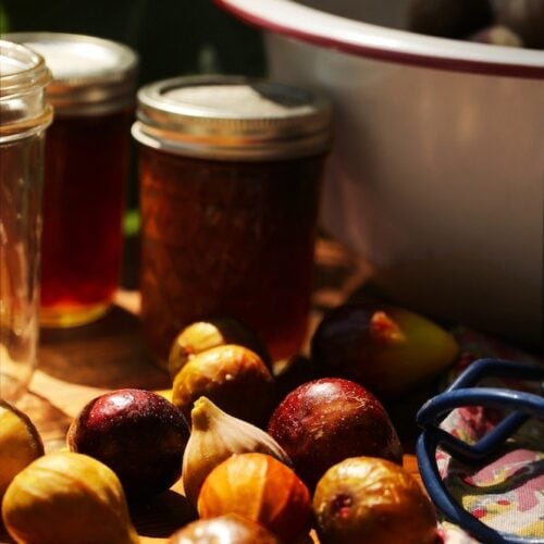 Stacy Lyn's fig preserves recipe