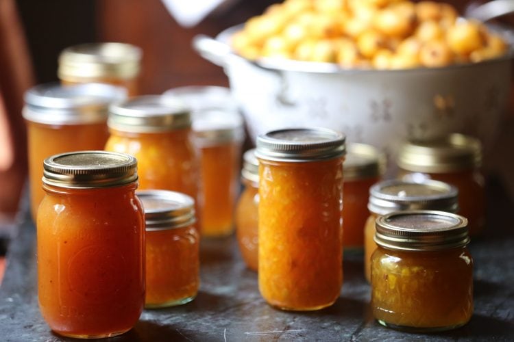Jams,_jellies, preserves - Stacy Lyn's bestrecipes