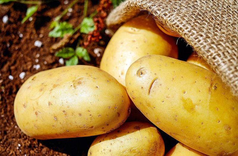 fresh potatoes spilling from burlap sack