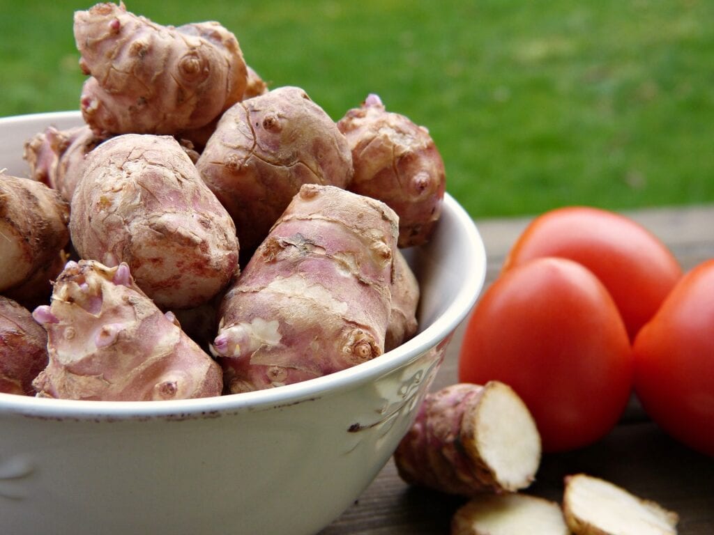 Jerusalem artichoke tubers in bowl