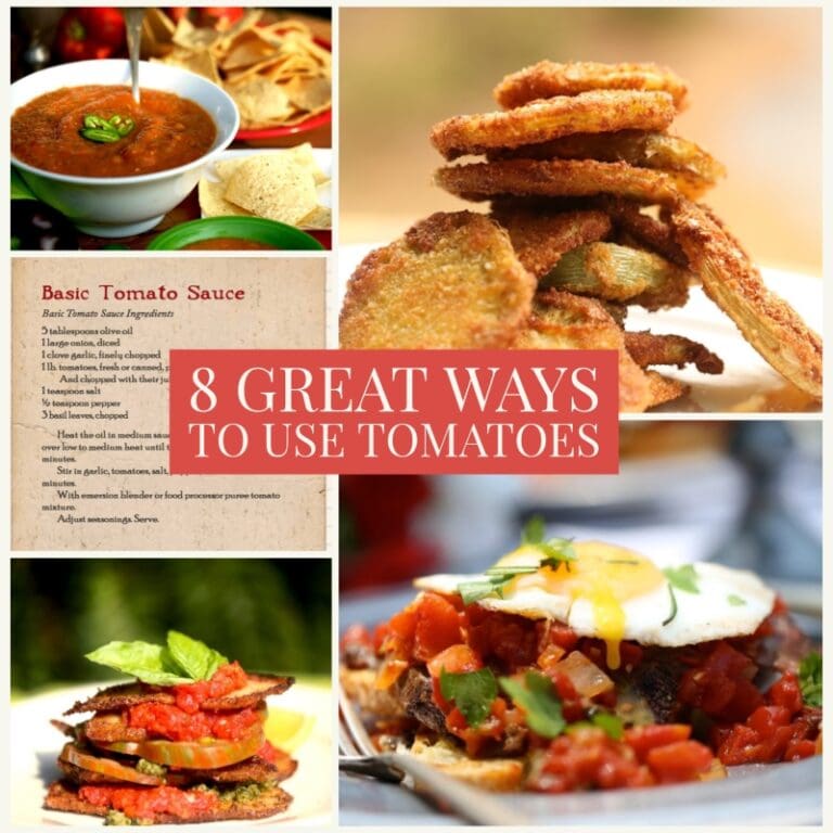 montage of tomato recipes in 8 great ways to use tomatoes