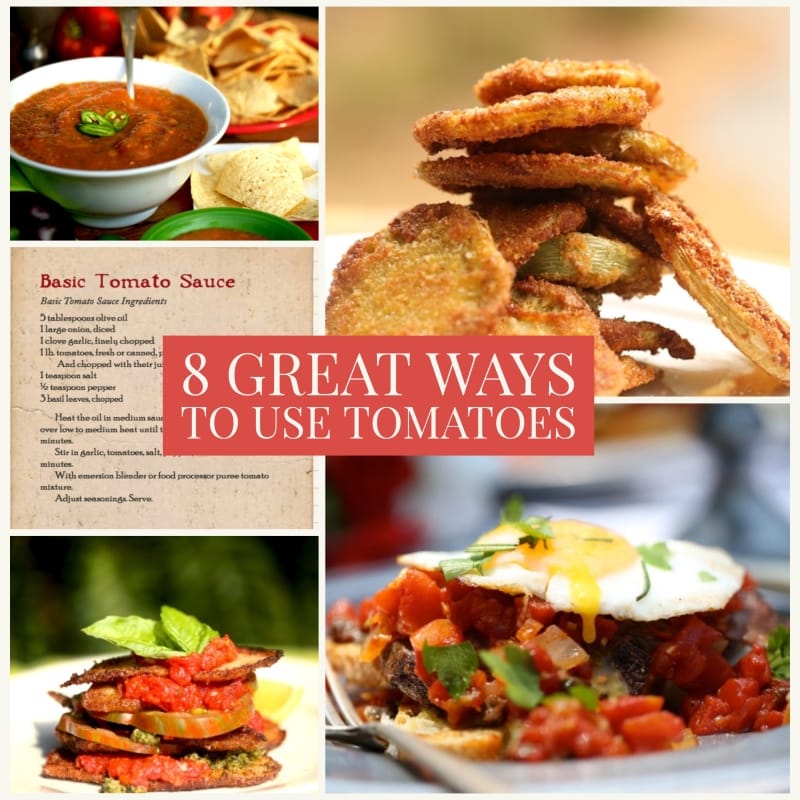 montage of tomato recipes in 8 great ways to use tomatoes