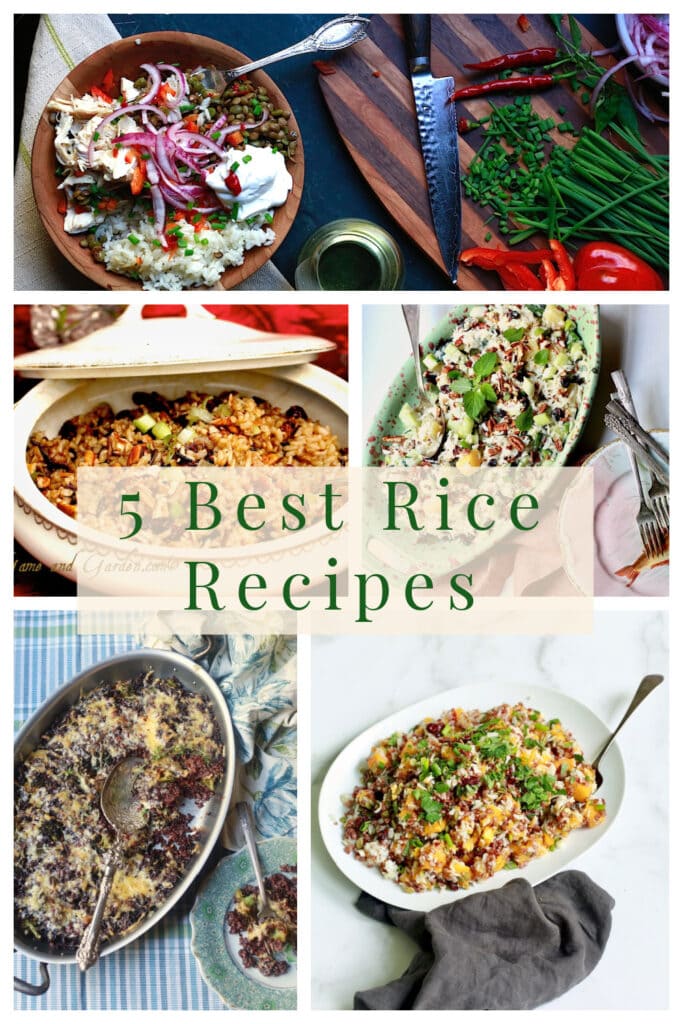 montage of 5 best rice recipes