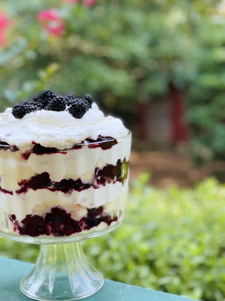 Close up of Blackberry Trifle in font of chicken coop with lots of greenery