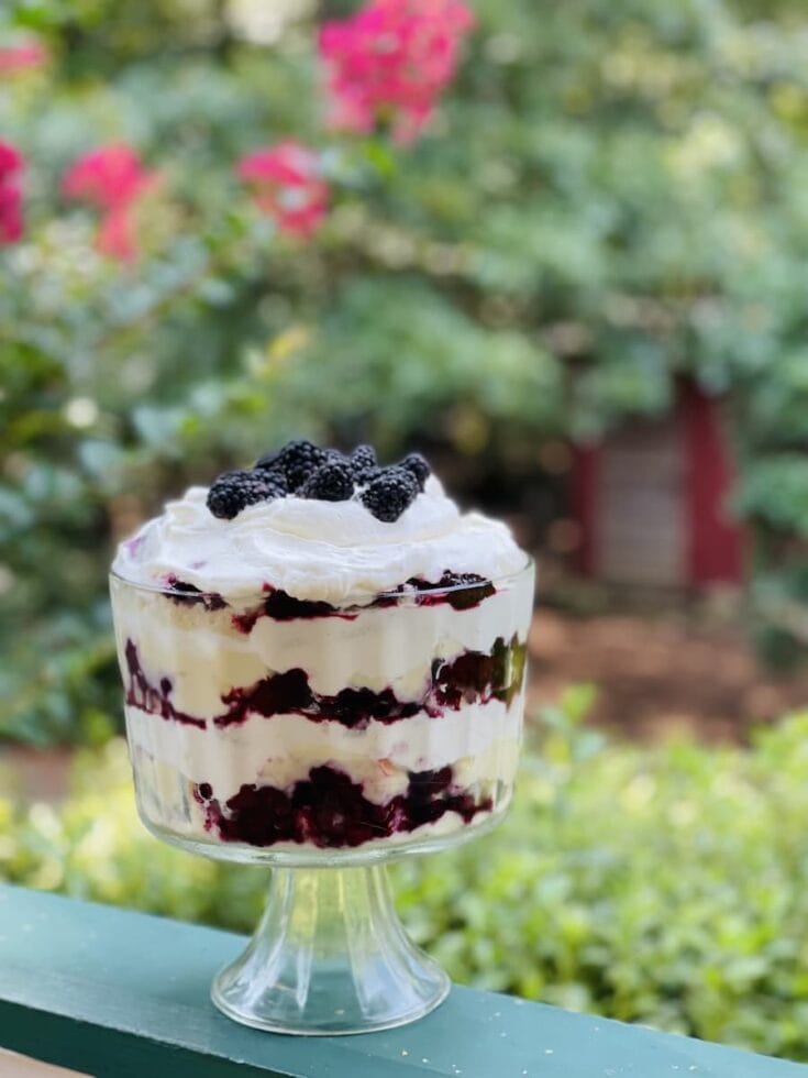 Blackberry trifle on porch railing in front of greenery flowers and chicken coop