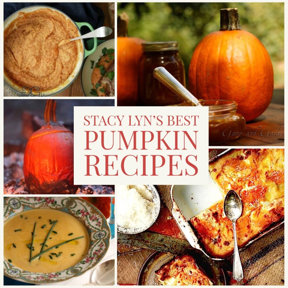 colorful montage of Stacy Lyn's best recipes for pumpkin, including pumpkin butter and pioneer pumpkin pie