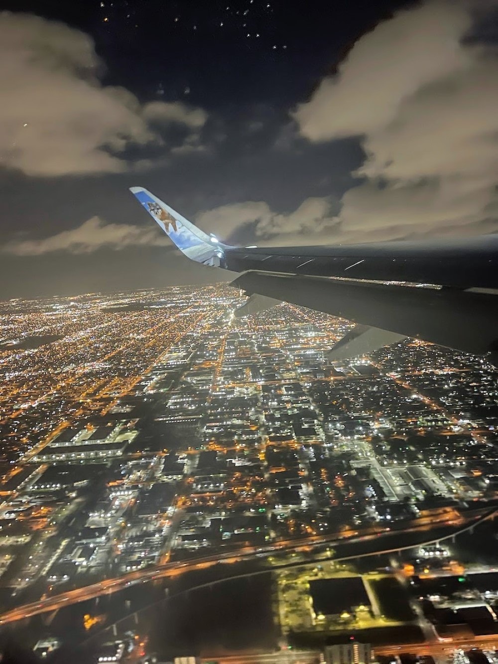 view from airplane flying home from Florida