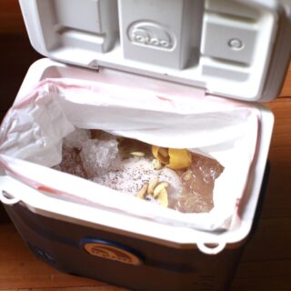 wet brine turkey in cooler
