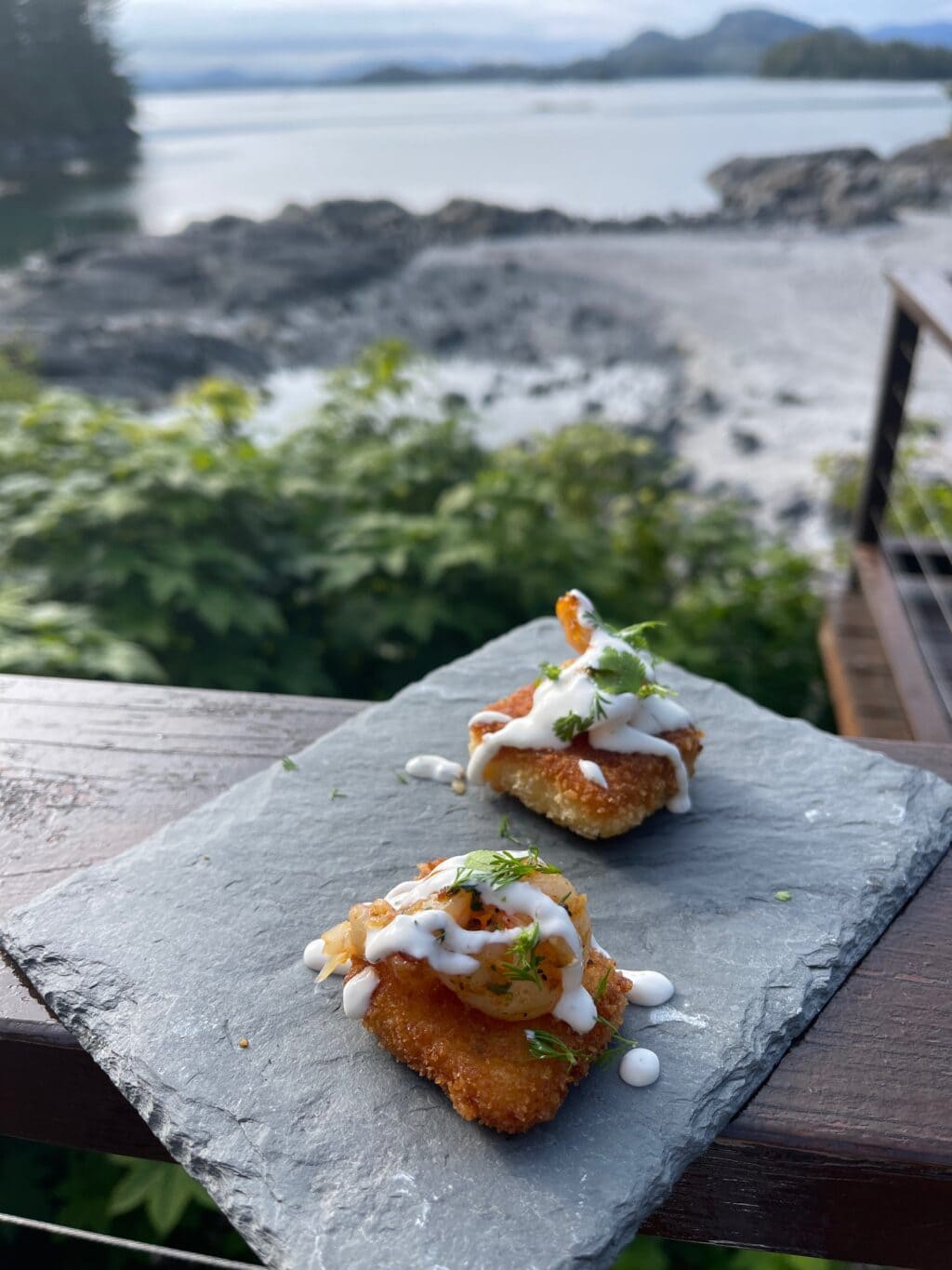 fried grits cakes and shrimp with dill sauce, plate balanced on railing above view