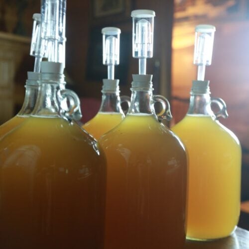 jugs of perry hard cider pressed from fresh pears