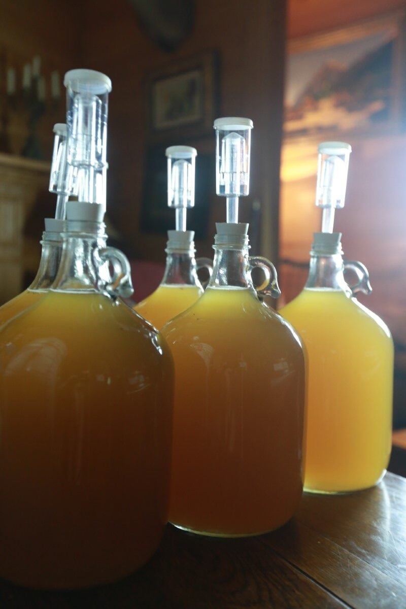 jugs of perry hard cider pressed from fresh pears