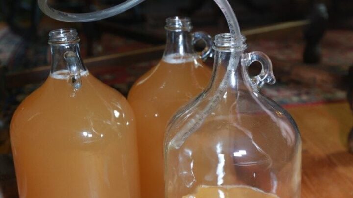 using flexible tube to fill containers with pressed pear juice