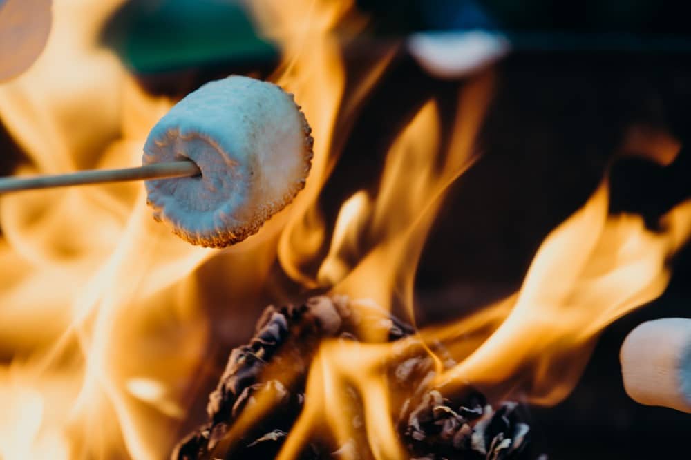 closeup of s'mores marshmallow toasting on a stick over a campfire
