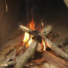 starting a wood fire in the oven to dry it out