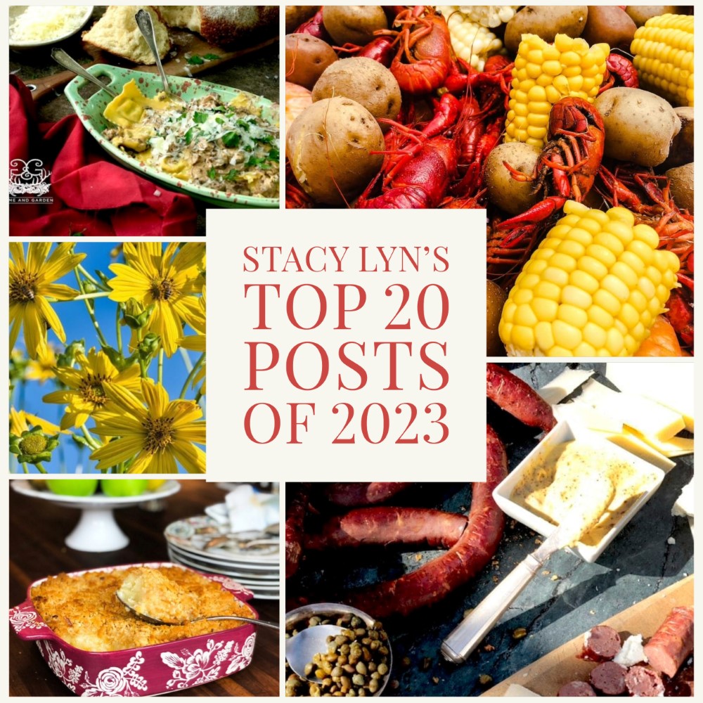 Stacy Lyn's 20 most popular posts of 2023