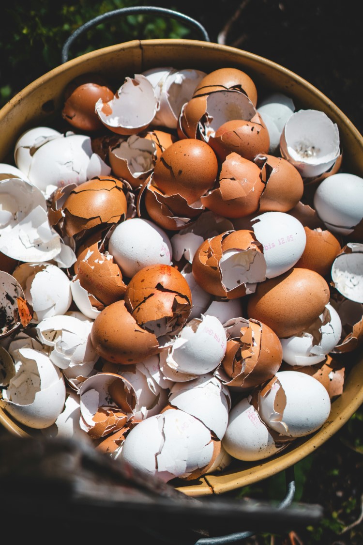 large bowl full of brown and white eggshells for garden composting