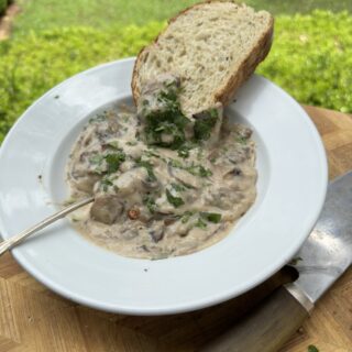 Stacy Lyn's cream of mushroom soup in white shallow soup bowl with slice of bread