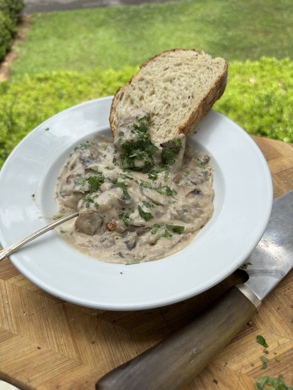 Stacy Lyn's cream of mushroom soup in white shallow soup bowl with slice of bread
