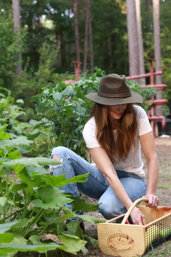 Stacy Lyn harvesting squash and other summer vegetables