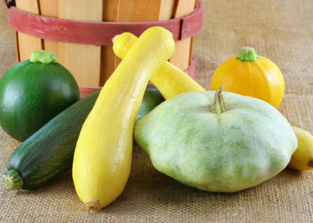 varieties of summer squash on table: zucchini, crookneck yellow, pattypan